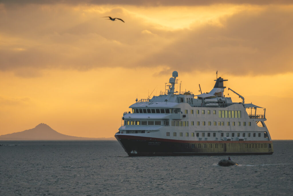 Expedition Cruises - Complete Guide to Cruising Remote Destinations